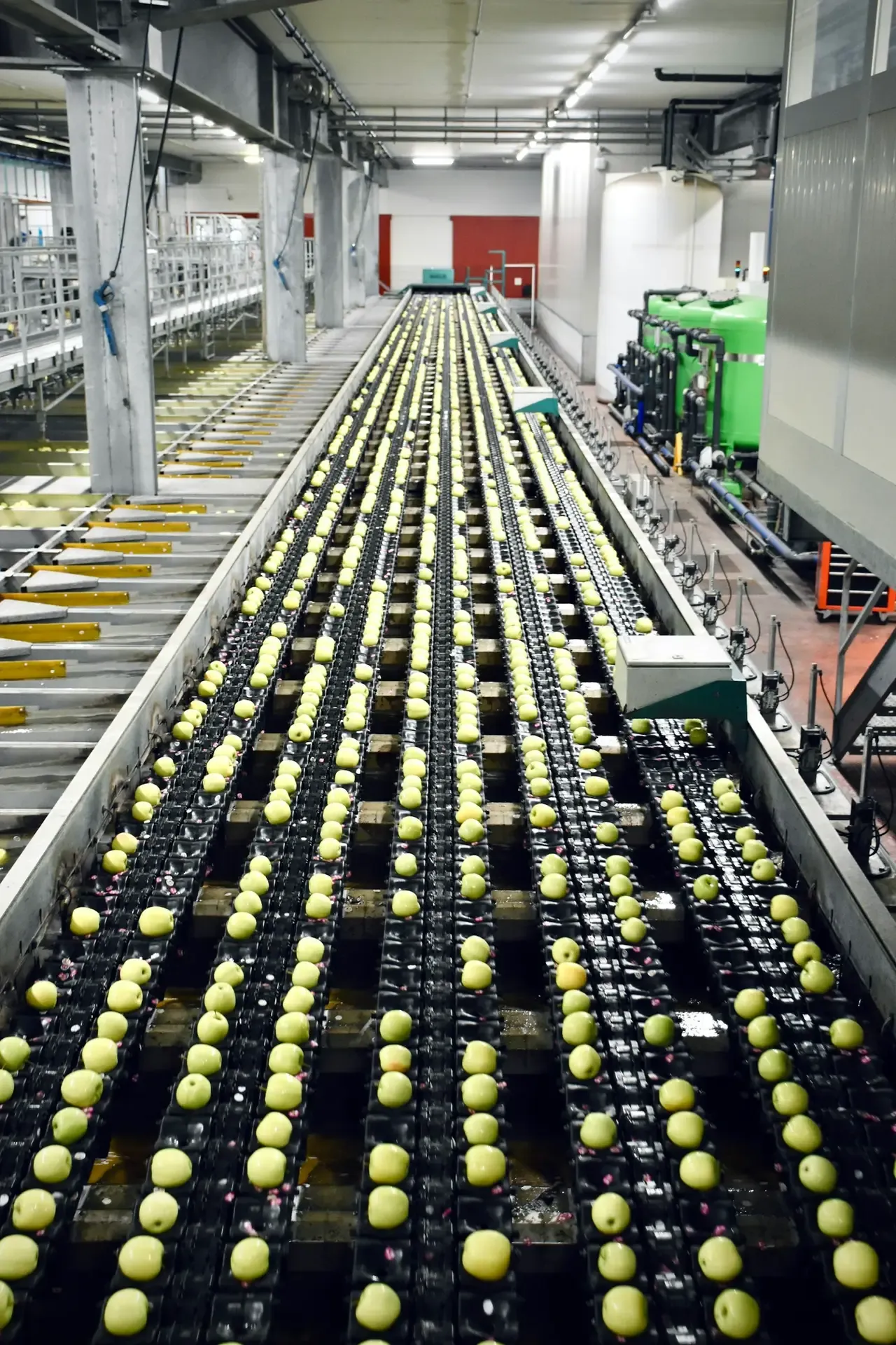 Stainless steel food processing equipment in clean manufacturing environment